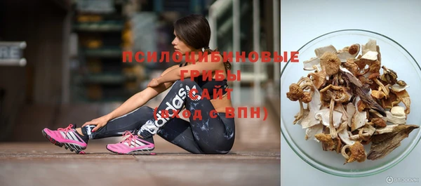 ПСИЛОЦИБИНОВЫЕ ГРИБЫ Алзамай