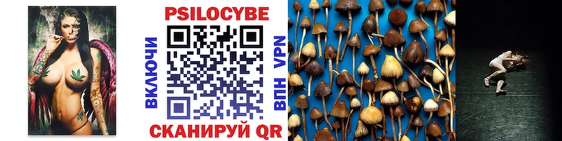 Псилоцибиновые грибы Psilocybine cubensis  нарко площадка как зайти  Шимановск  где купить наркоту 
